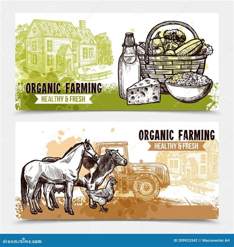 Farm Horizontal Banners Stock Vector Illustration Of Banner 209923342