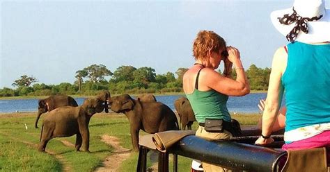 From Ella Transfer To Galle Mirissa With Udawalawa Safari Getyourguide