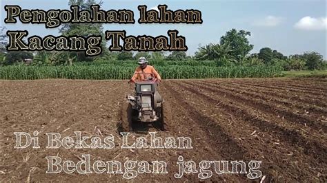 Proses Pembuatan Lahan Untuk Tanam Kacang Tanah Traktor Quick Zena