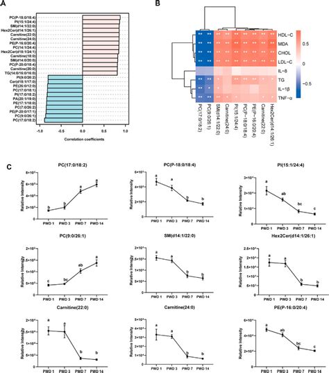 Lipid Biomarker Analysis For Weaning Stress A Top 25 Lipid