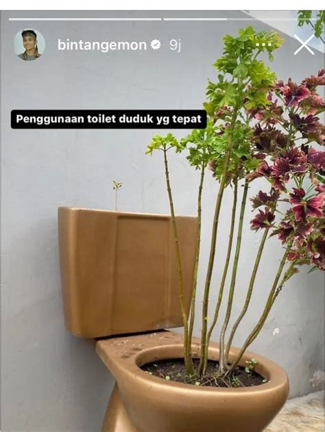 6 Potret Penggunaan Toilet Duduk Ini Nyeleneh Absurd Banget Hot Liputan6