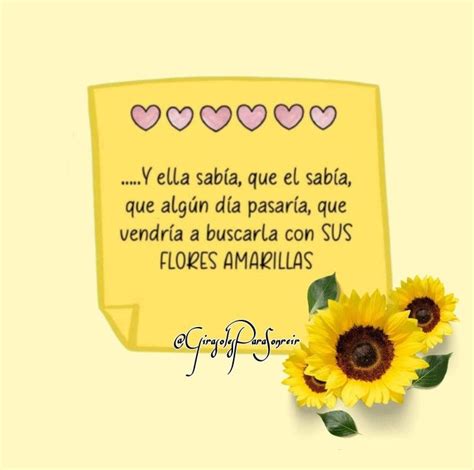 Pin De Sol Perez En Frases Sabias Frases De Flores Imagenes De