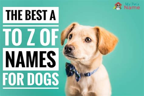 500+ Dog Names: The Best A to Z of Names for Dogs | My Pet's Name