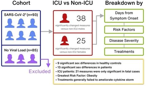 Cells Free Full Text Immunological Misfiring And Sex Differences