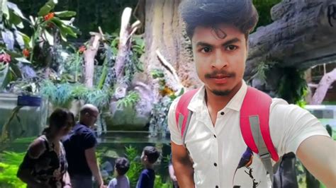 Hi Welcome To My New Blogs Rainforest Yaha Par Sab Kuch Dikhne Wala