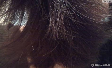 Флюид-блеск Estel с термозащитой для всех типов волос CUREX Brilliance ...