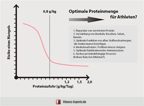 Wie viel Protein Eiweiß brauche ich pro Tag optimale Menge