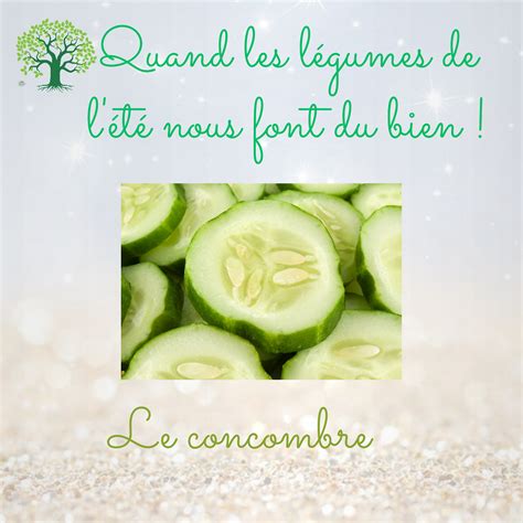 Le Concombre Pour Drainer Son Corps Tout Simplement