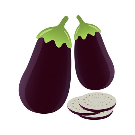 Premium Vector Vegetable Eggplant Illustration