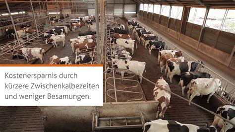 Nedap Brunsterkennung und Gesundheitsüberwachung Grundlage für