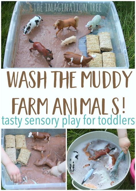 Wash the Muddy Farm Animals Sensory Play - The Imagination Tree