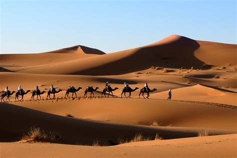 Sahara nad Polską Dlaczego pył znad pustyni coraz częściej dociera do