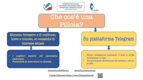 La Contrattazione Di Istituto Una Nuova Pillola Dirigentiscuola