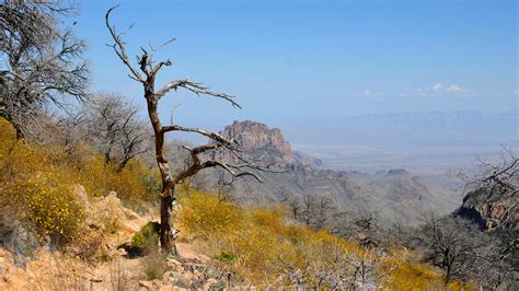 O Que Fazer Em Big Bend National Park Melhores Dicas Para 2024