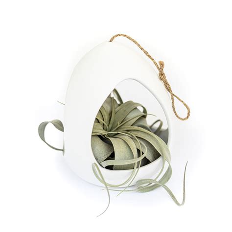 Wholesale Large White Ceramic Hanging Pod With Custom Tillandsia Air