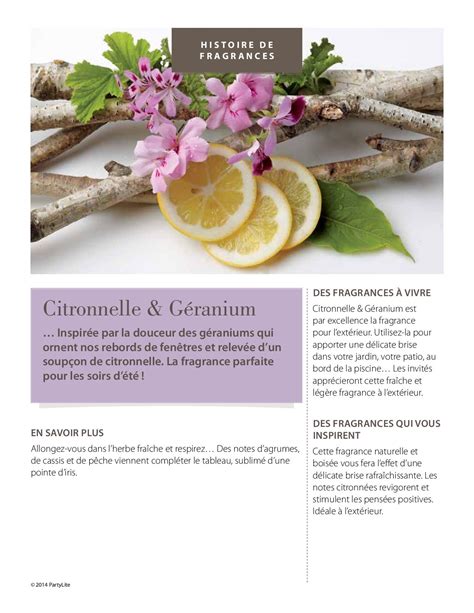 Citronnelle Géranium Citronnelle Rebord de fenêtre Accessoires de