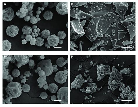 Micrographs Of Encapsulated Green Coffee Extracts A Spray Dryer With