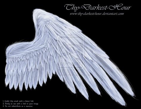 18 Angel Wings Side Psd Images Feather Angel Wing Designs Angel