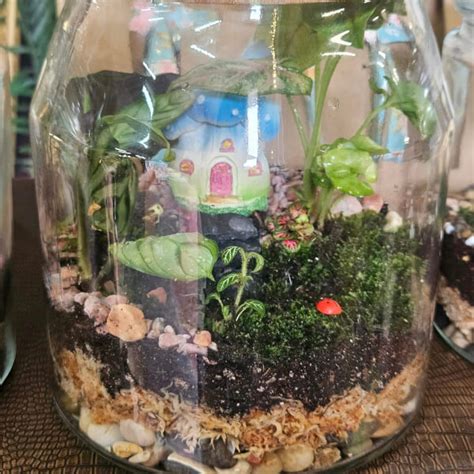 Large Terrarium Making Workshop Perth Events Classbento