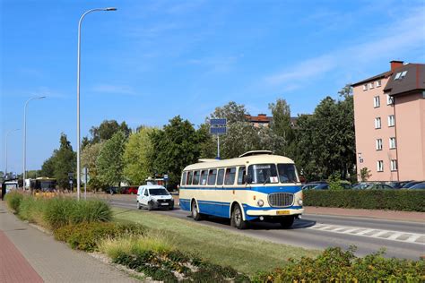 Fotogaleria Transportowa Jelcz 043 8081