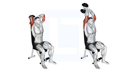 Cable One Arm Tricep Pushdown Guide Benefits And Form