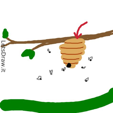 How To Draw Bee Hive Afguqs97xpng Letsdrawit