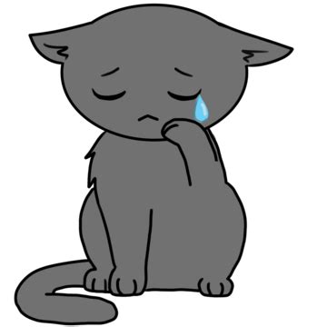 Crying Cat PNG Transparent Images Free Download | Vector Files | Pngtree