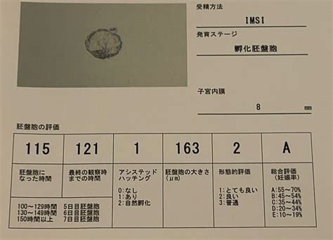 Klc 初胚盤胞移植d21 もね40歳妊活日記