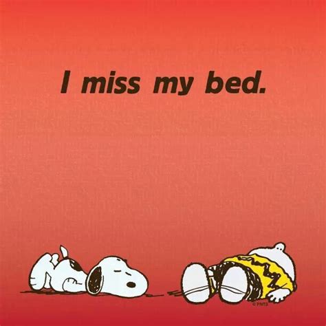 I Miss My Bed Snoopy Funny Snoopy Quotes Charlie Brown And Snoopy