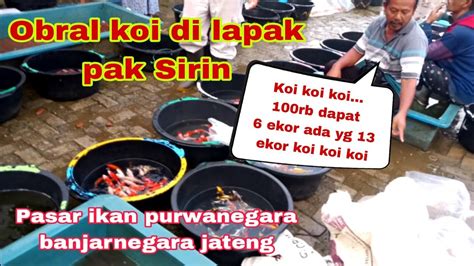 Paket Ikan Koi 100 Ribuan Jos Jos Di Pasar Ikan Purwanegara