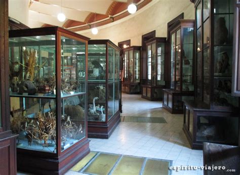 Visita al Museo de Ciencias Naturales de La Plata Espíritu Viajero