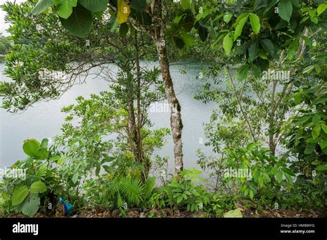 Bau Lake Bau Sarawak Malaysia Stock Photo Alamy