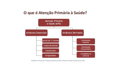 Atenção Primária Um Novo Sistema Único De Saúde Para Os Brasileiros