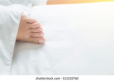 Fille Sex Nue Femme De Menage Sur Le Lit Images Stock Photos D Objects Vectors