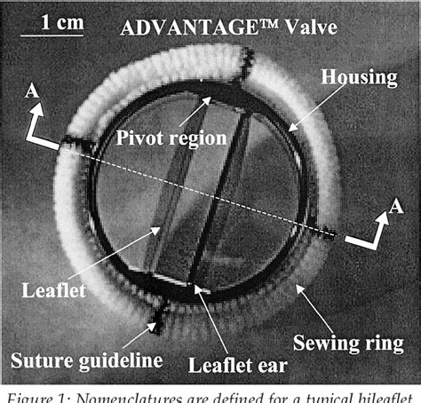 Medtronic Mechanical Heart Valve