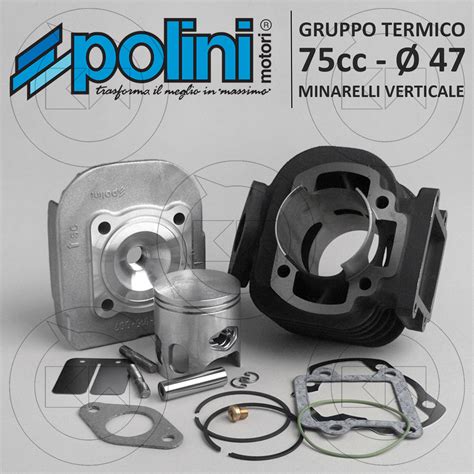 Gruppo Termico Polini Cilindro Modifica Cc Minarelli Verticale