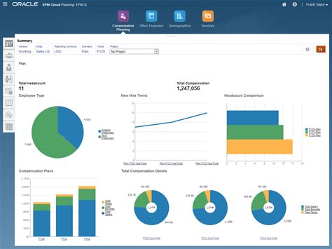 Oracle Hyperion Planning