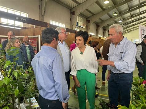 Ministra Da Agricultura Garante Criar Condi Es Para Apoiar Os