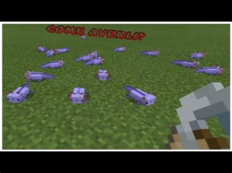 Come Avere Gli Axolotl Blu I Pi Rari Su Minecraft Youtube