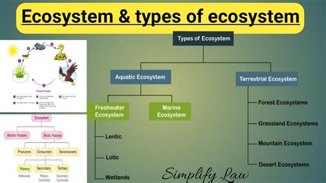 Ecosystem Different Types Of Ecosystem Environmental Science EVS