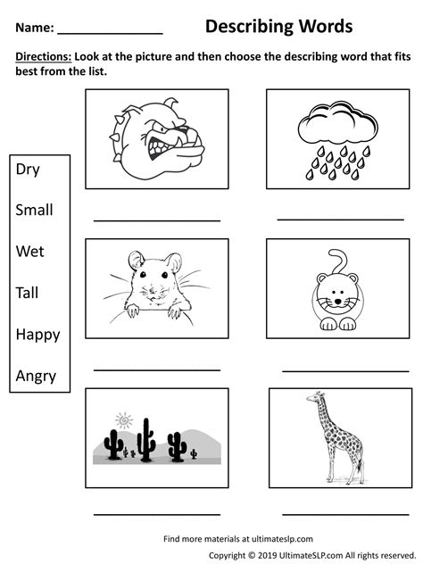 Describing Words Worksheet Grade 2