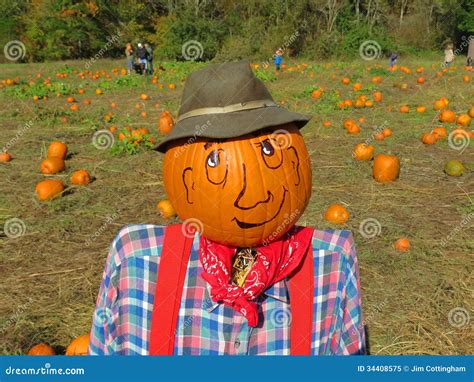 Pumpkin Patch Scarecrow Stock Image Image Of Backgrounds