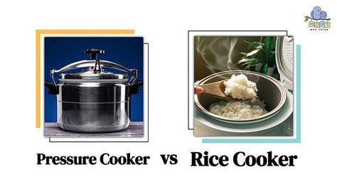 Pressure Cooker Vs Rice Cooker Which Do You Need For Your Kitchen