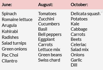 Organic Csa For Kanata Leeds Grenville Heartbeet Farm