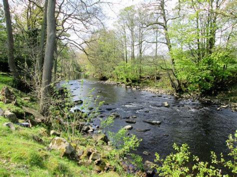 River Nidd Downstream From Darley © Martin Dawes Geograph Britain