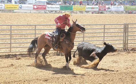 Saddle Horse Show & Rodeo returns with new activities - SanBenito.com ...