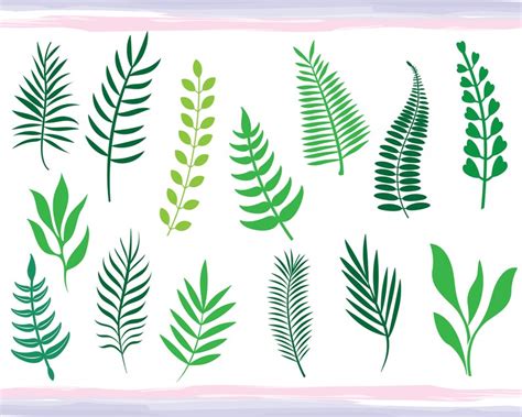 Monstera Svg Bundle Tropical Leaves Svg Palm Branch Svg Etsy