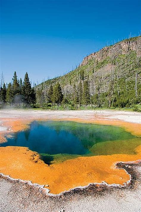 Yellowstone National Park