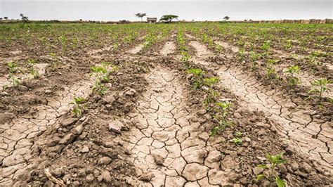 Horas Claves Para El Campo El Gobierno Evaluará Si Prorroga La