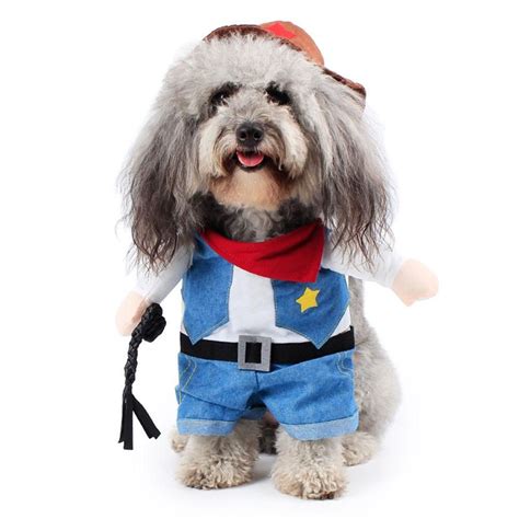 Dog Wearing Western Sheriff Costume Dog Halloween Costumes Funny Dog